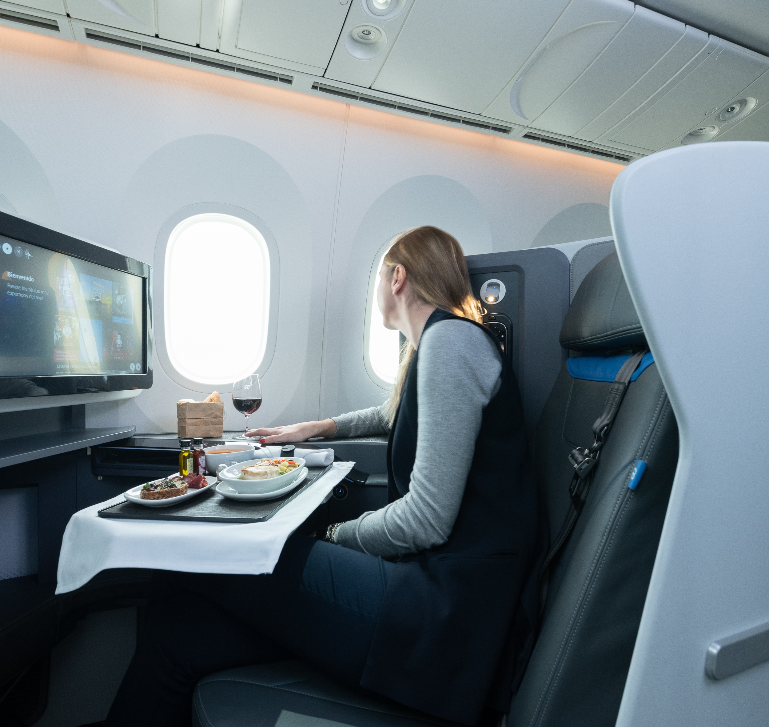 Servicios A Bordo Y Asientos Air Europa Espa a